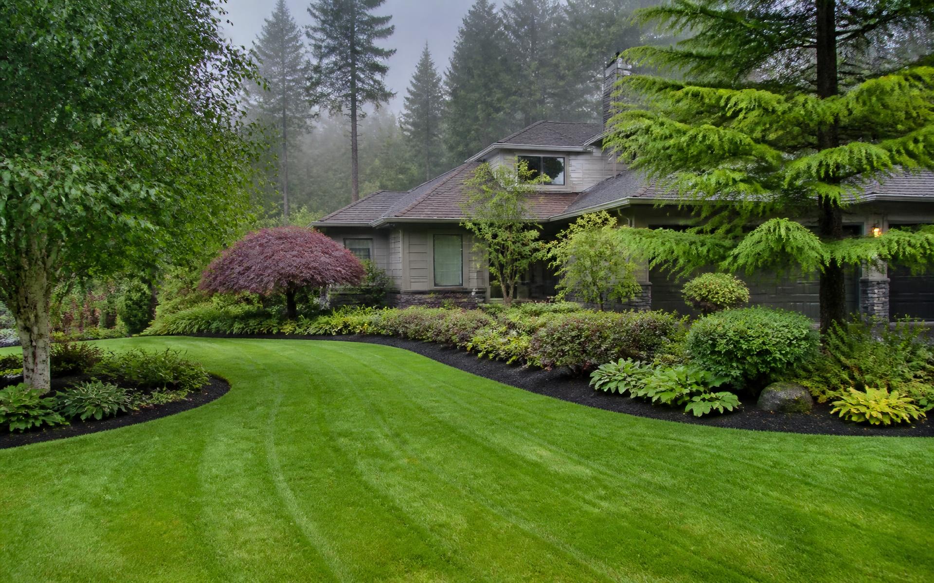 Manicured Olympia front yard with a striped green lawn, curved bark planting beds, and tall evergreens in morning mist